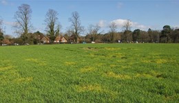 Pilton Monitor Farm: From aphids to action – managing BYDV in cereals